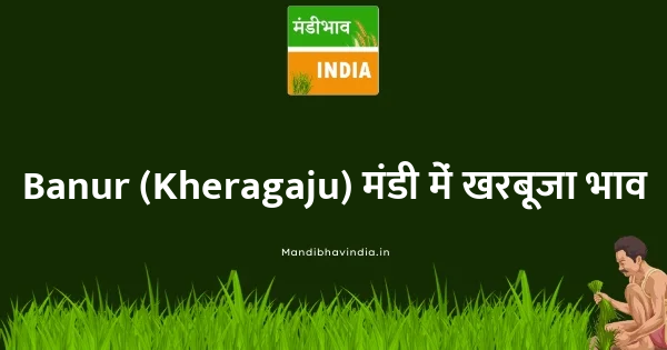 Kharbuja भाव